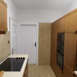 Waschbaer Apartment
