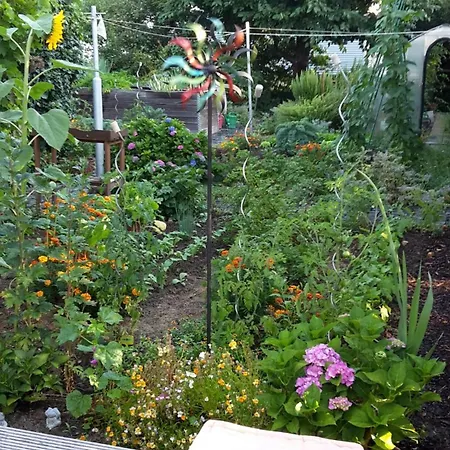 Apartment Waschbaer Kassel