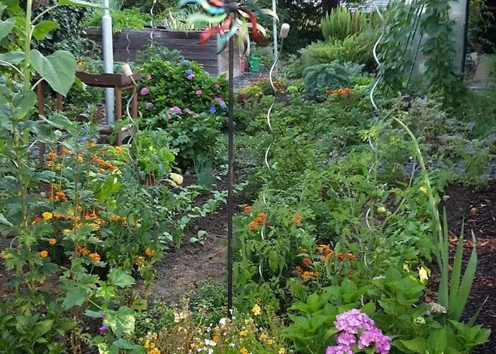 Apartman Waschbaer Kassel