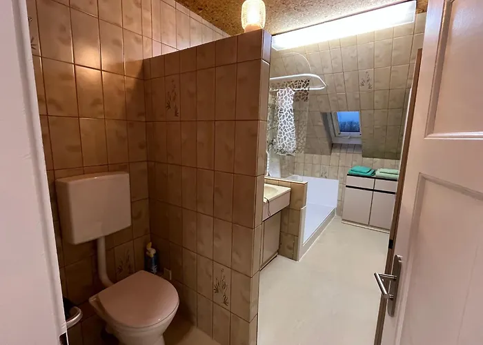 Waschbaer Apartman Kassel